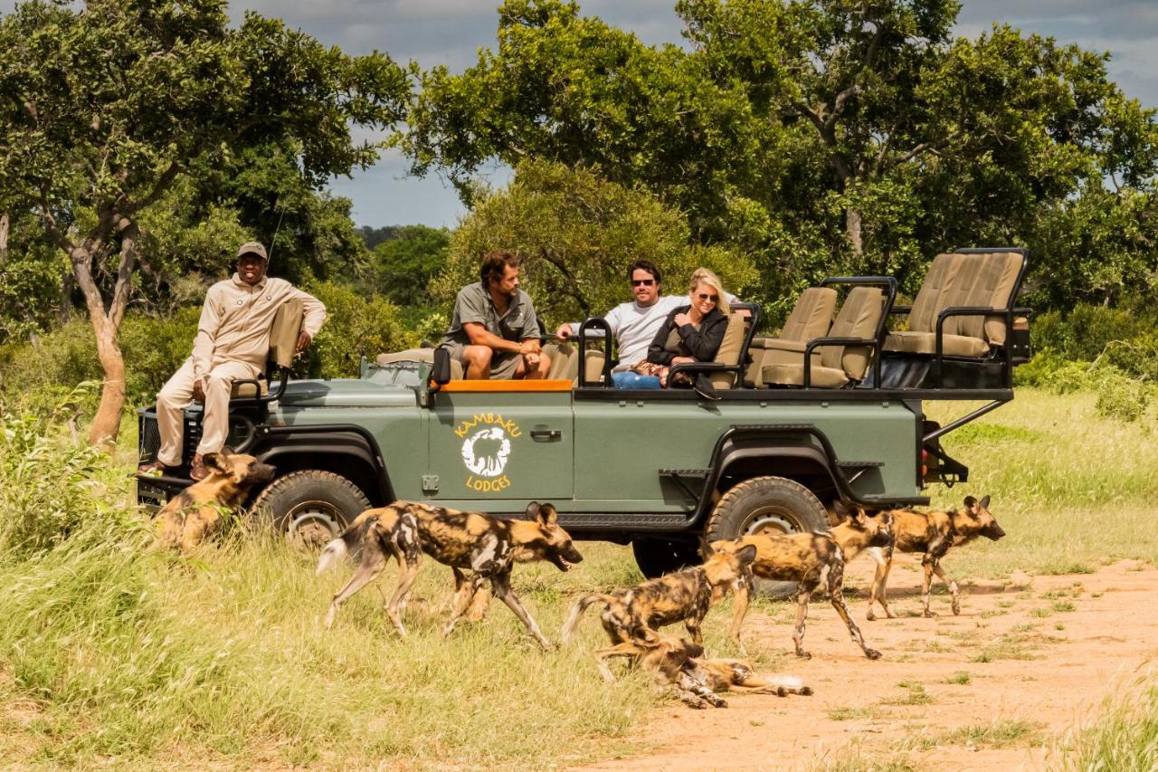Kambaku Safari Lodge 提巴瓦盖雷泽 外观 照片