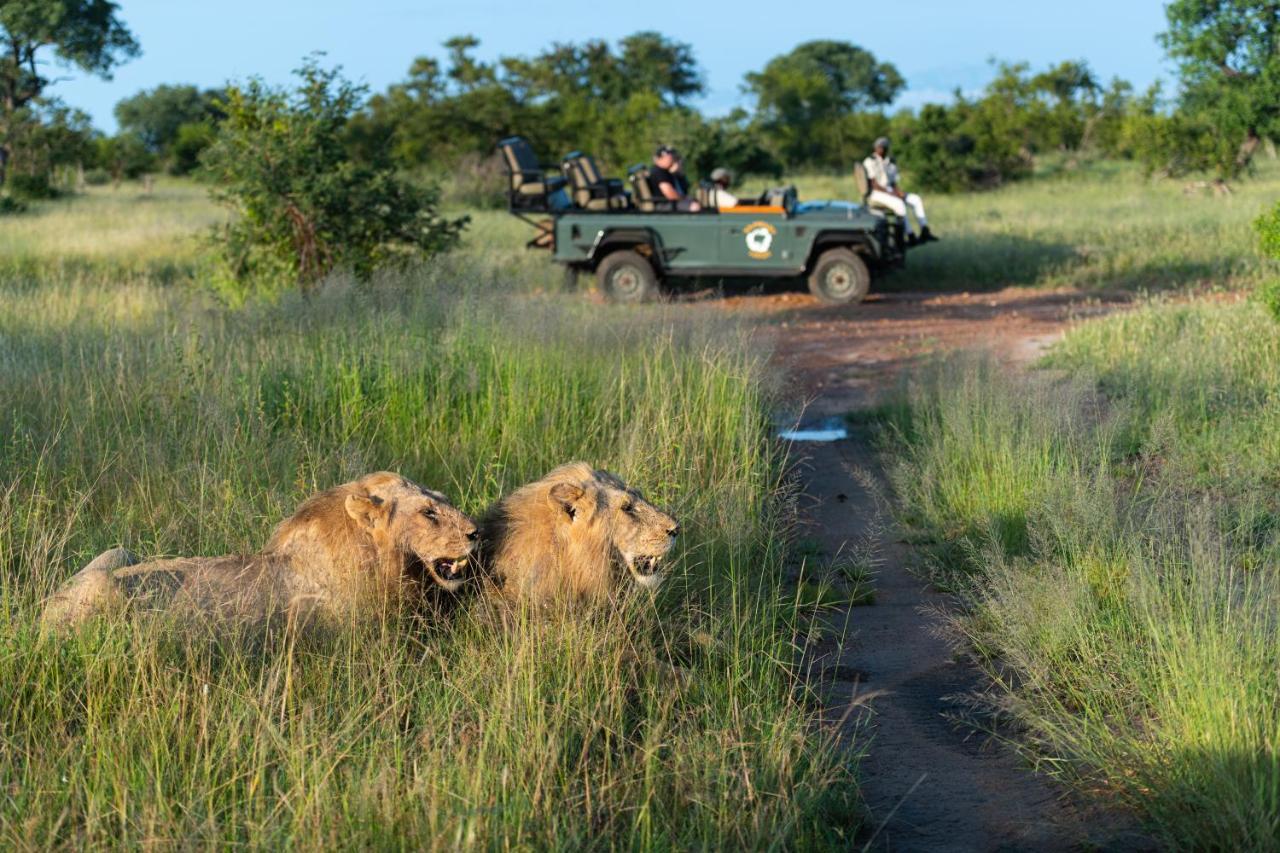 Kambaku Safari Lodge 提巴瓦盖雷泽 外观 照片