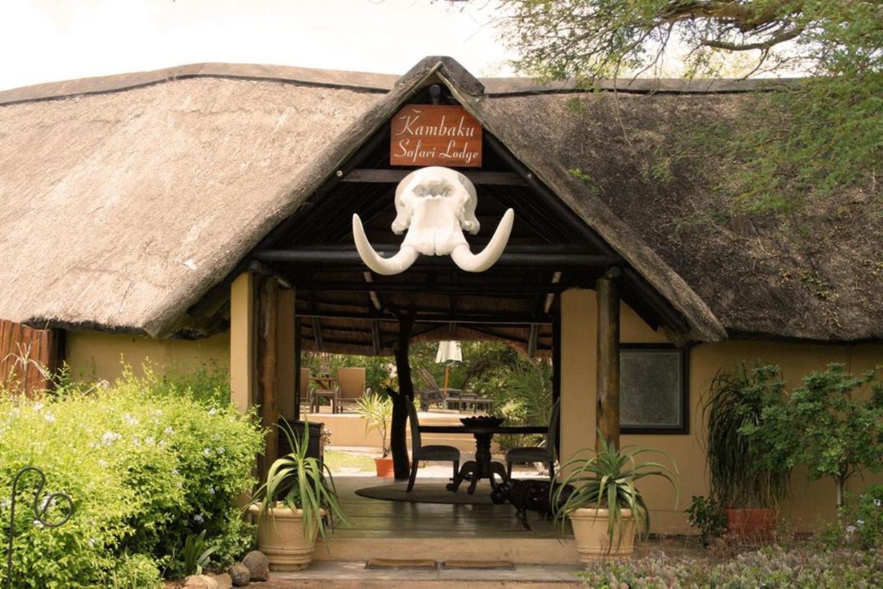 Kambaku Safari Lodge 提巴瓦盖雷泽 外观 照片
