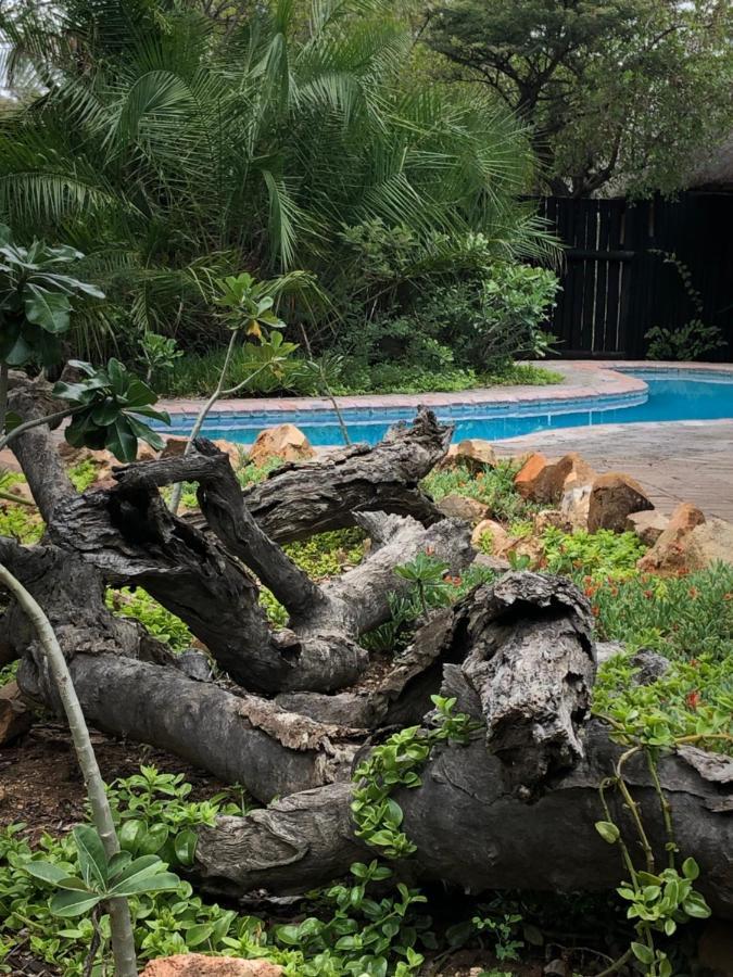 Kambaku Safari Lodge 提巴瓦盖雷泽 外观 照片
