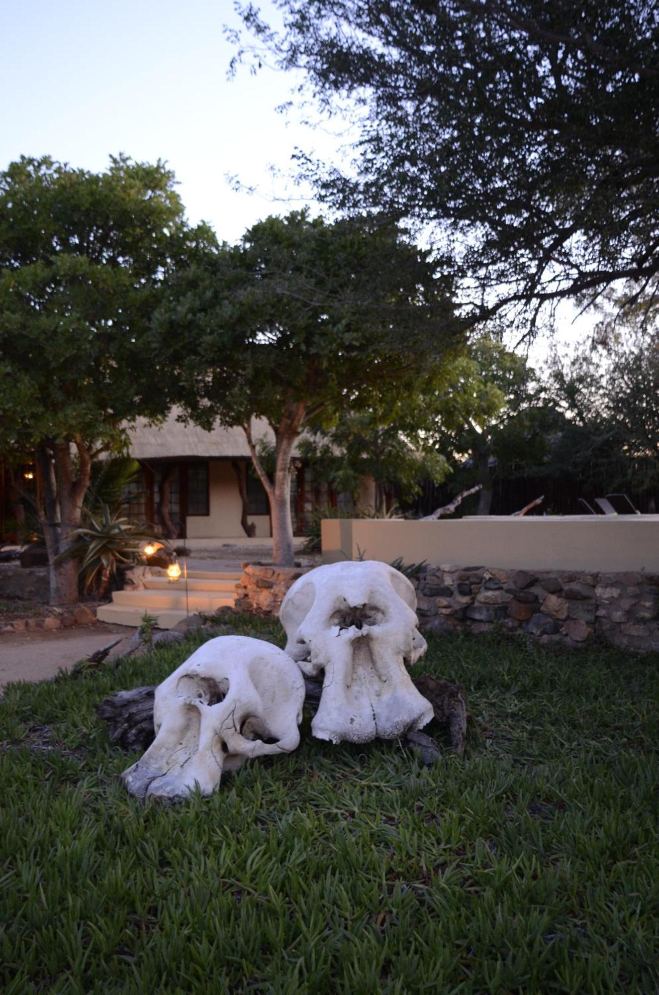Kambaku Safari Lodge 提巴瓦盖雷泽 外观 照片